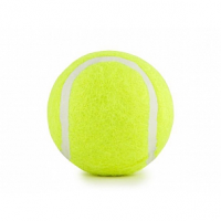 Мяч для большого тенниса START UP TB-GA03
